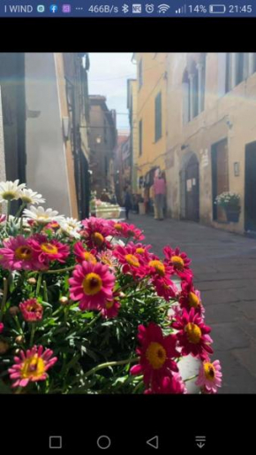 LA CASA SULLA PIAZZETTA Albenga